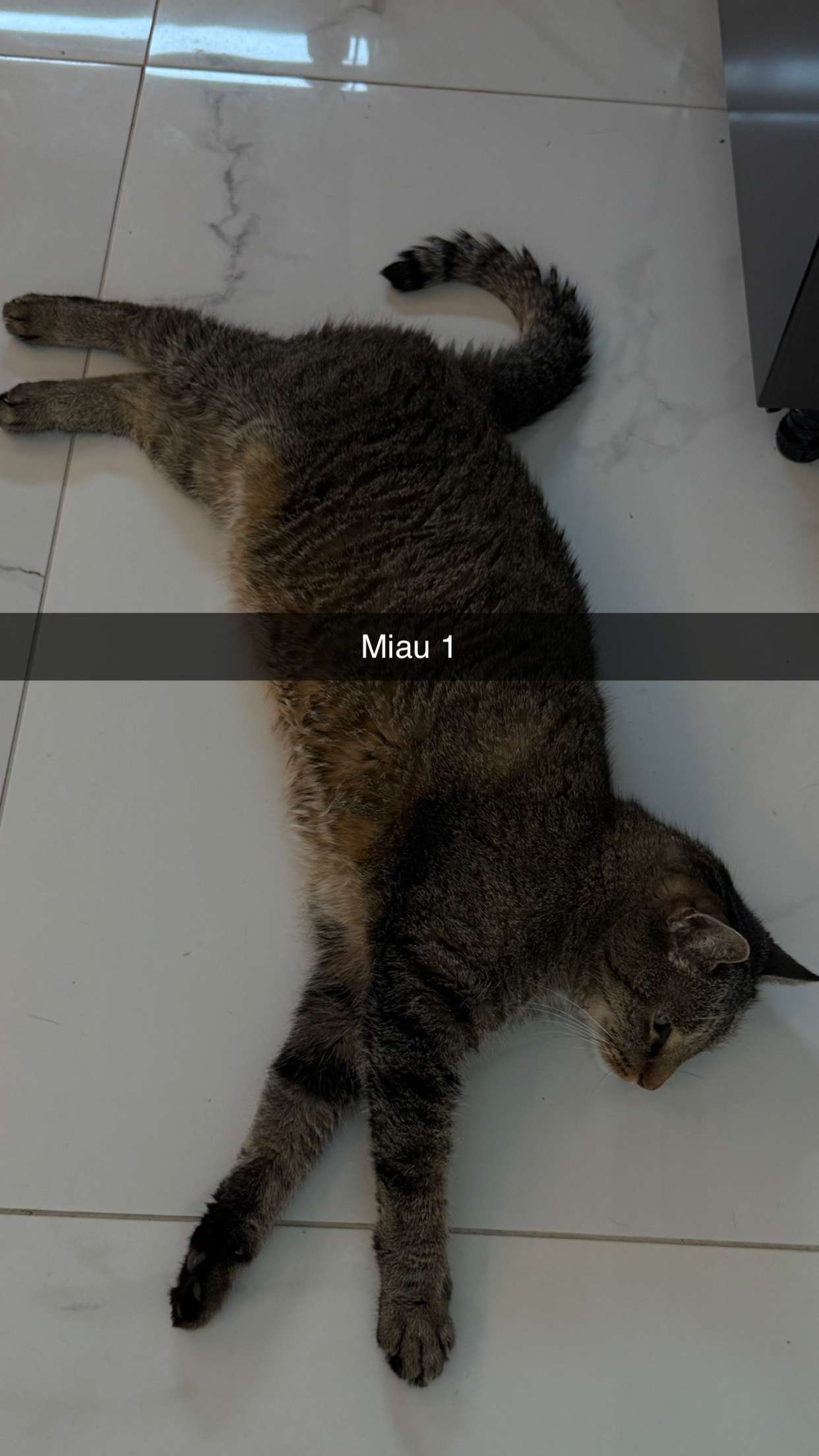 samantrasunny snapchat image archive image