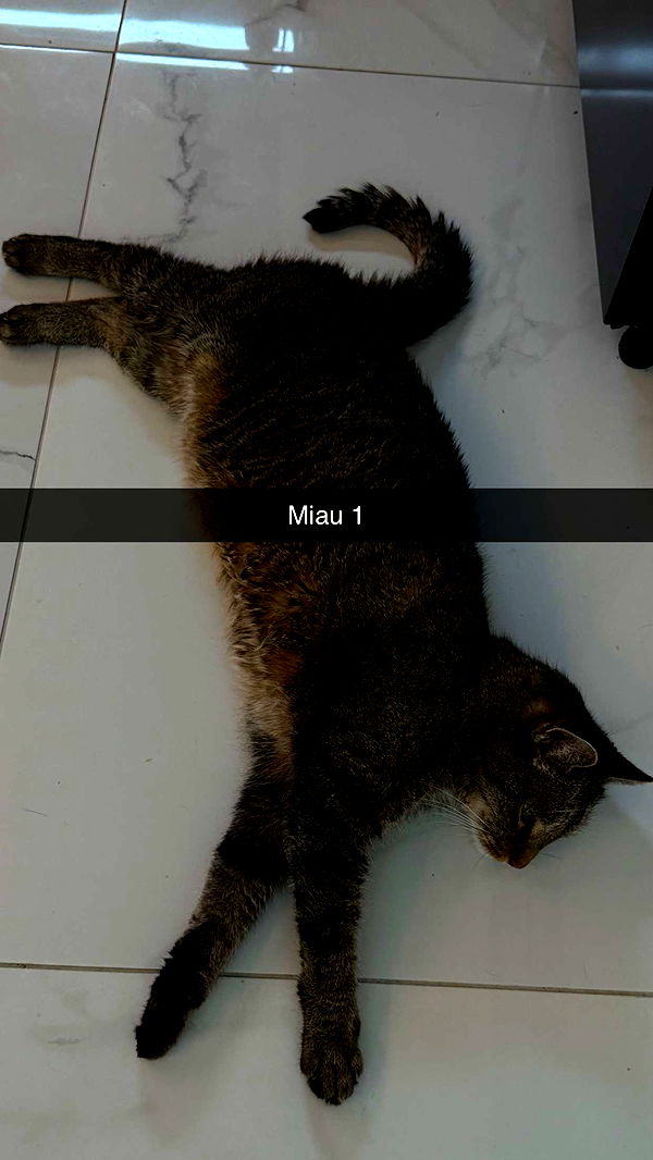 samantrasunny image ~ Altpins