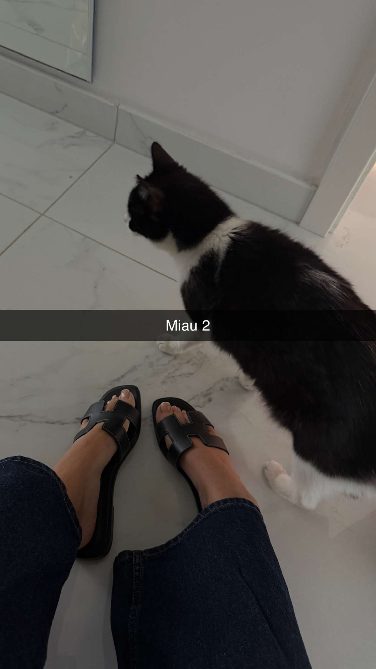 samantrasunny snapchat image archive image