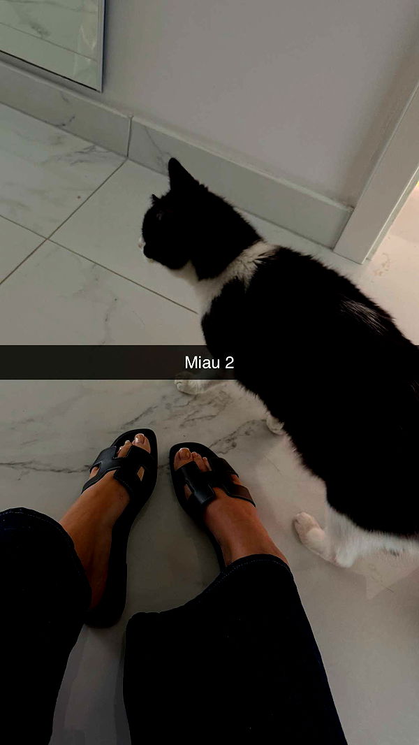 samantrasunny image ~ Altpins