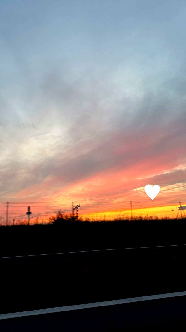 samantrasunny image ~ Altpins