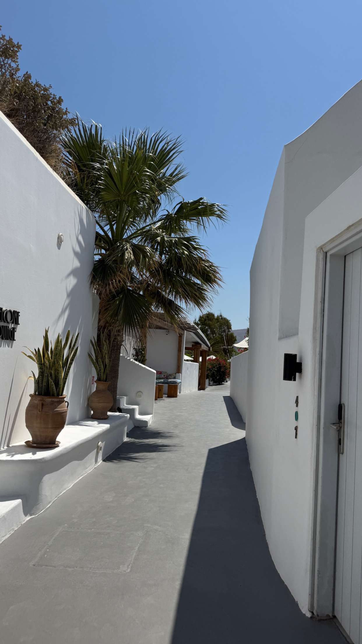 samantrasunny snapchat image archive image