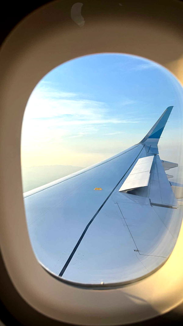 samantrasunny image ~ Altpins