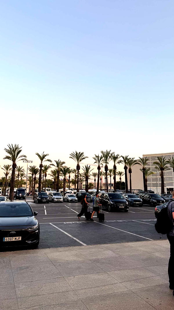 samantrasunny image ~ Altpins