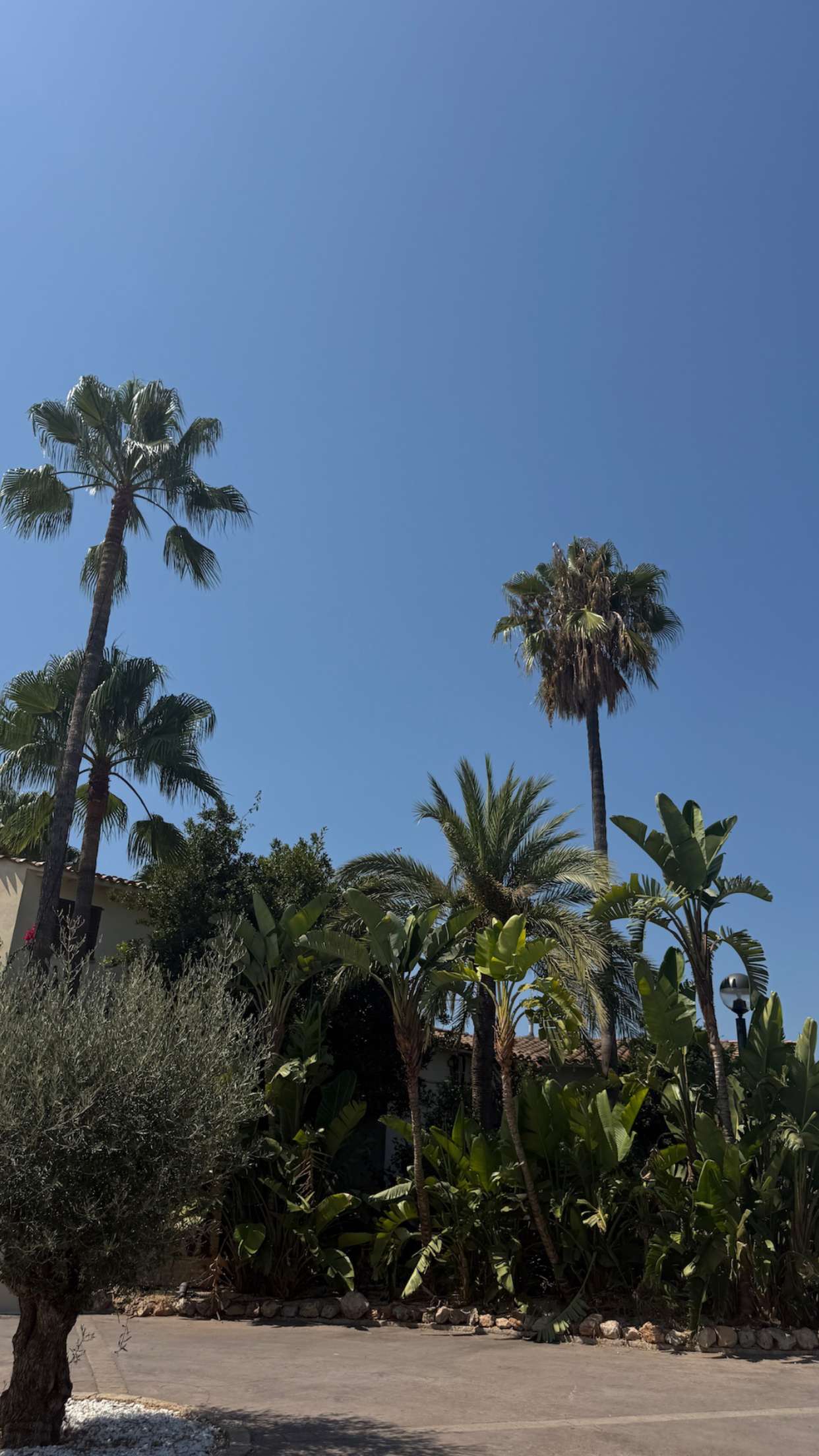 samantrasunny snapchat image archive image