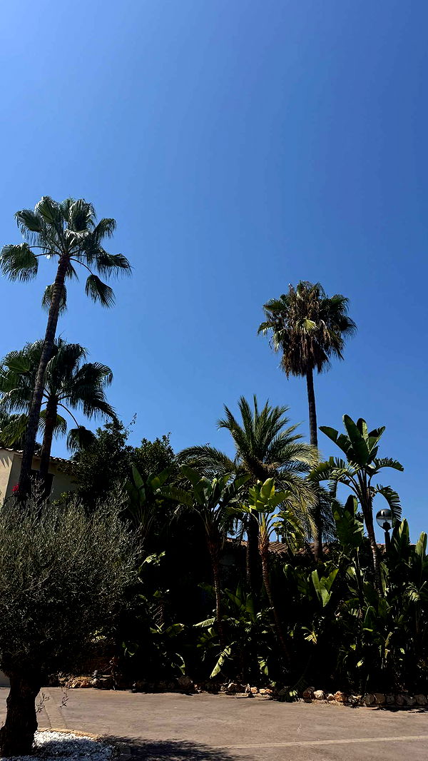 samantrasunny image ~ Altpins