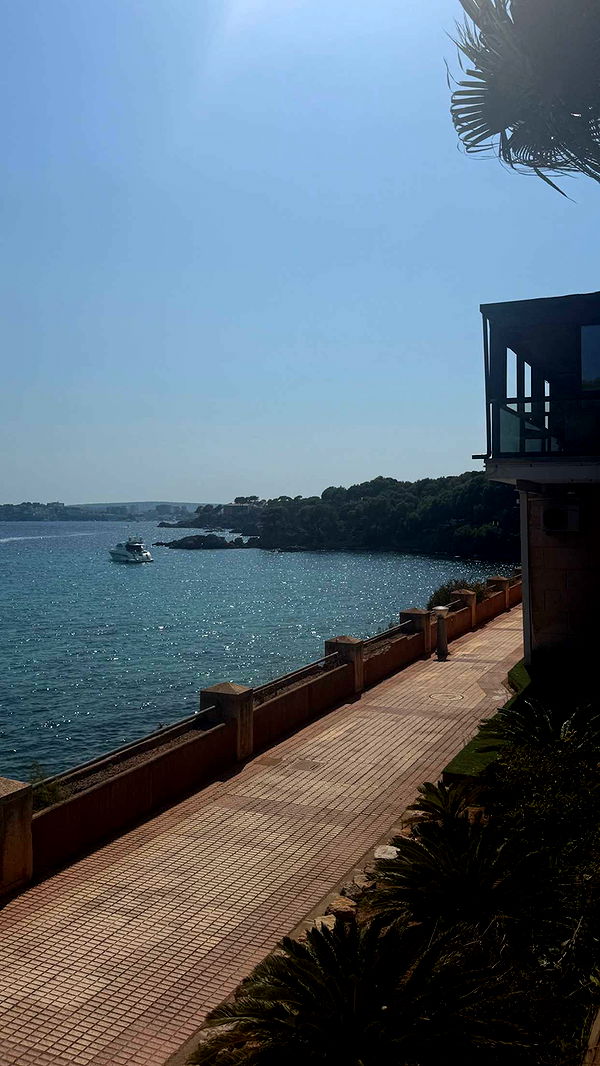 samantrasunny image ~ Altpins