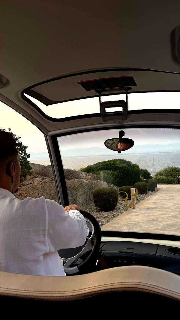 samantrasunny image ~ Altpins