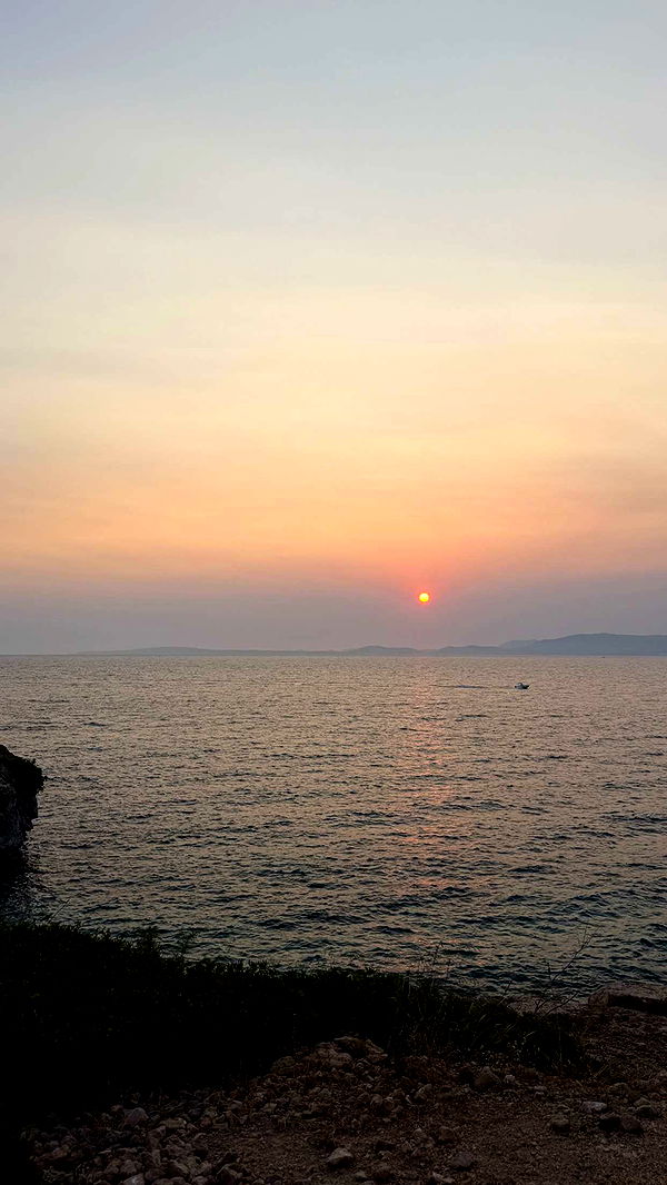 samantrasunny image ~ Altpins