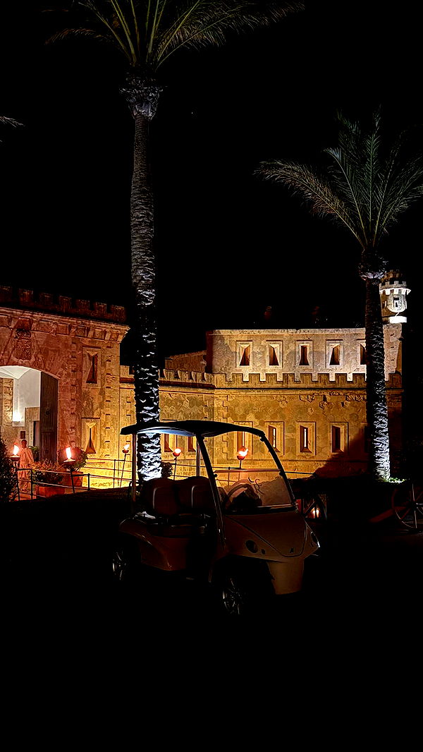 samantrasunny image ~ Altpins