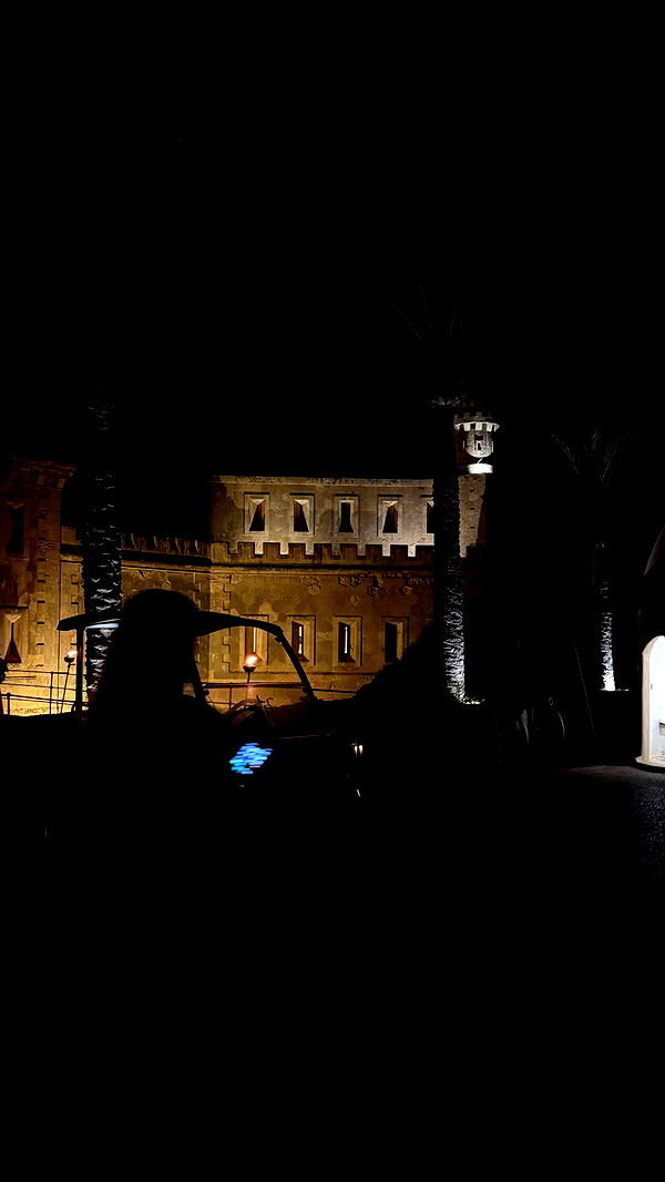 samantrasunny image ~ Altpins