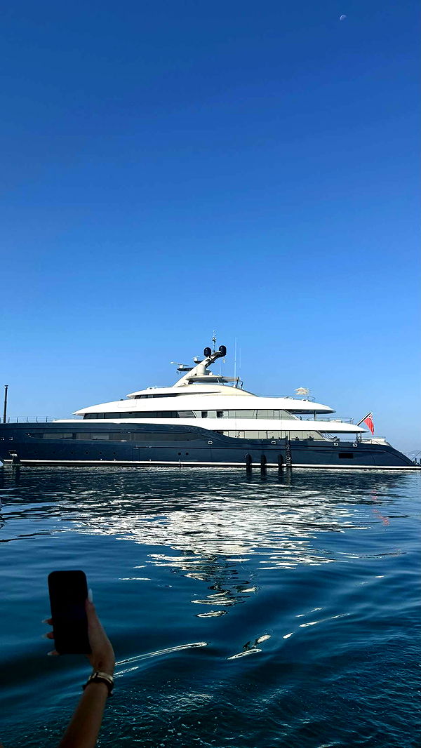 samantrasunny image ~ Altpins