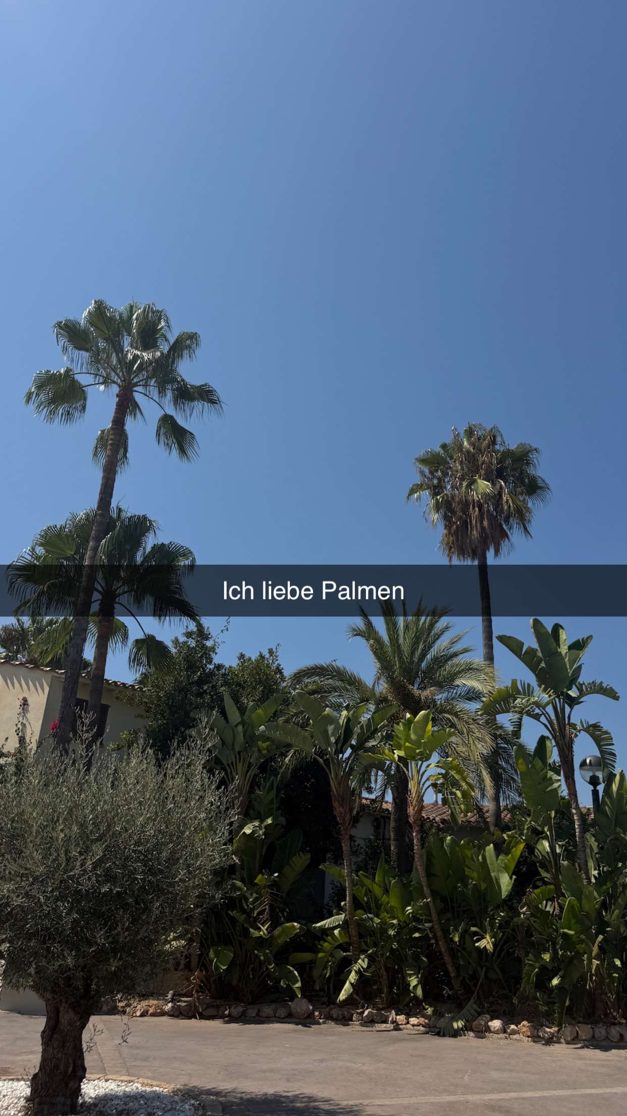 samantrasunny snapchat image archive image