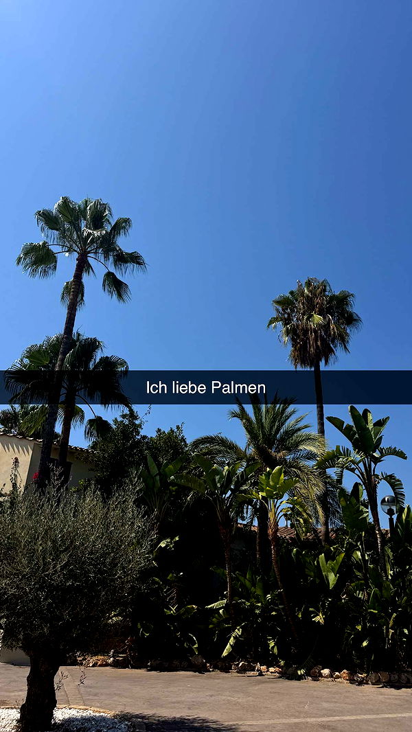 samantrasunny image ~ Altpins