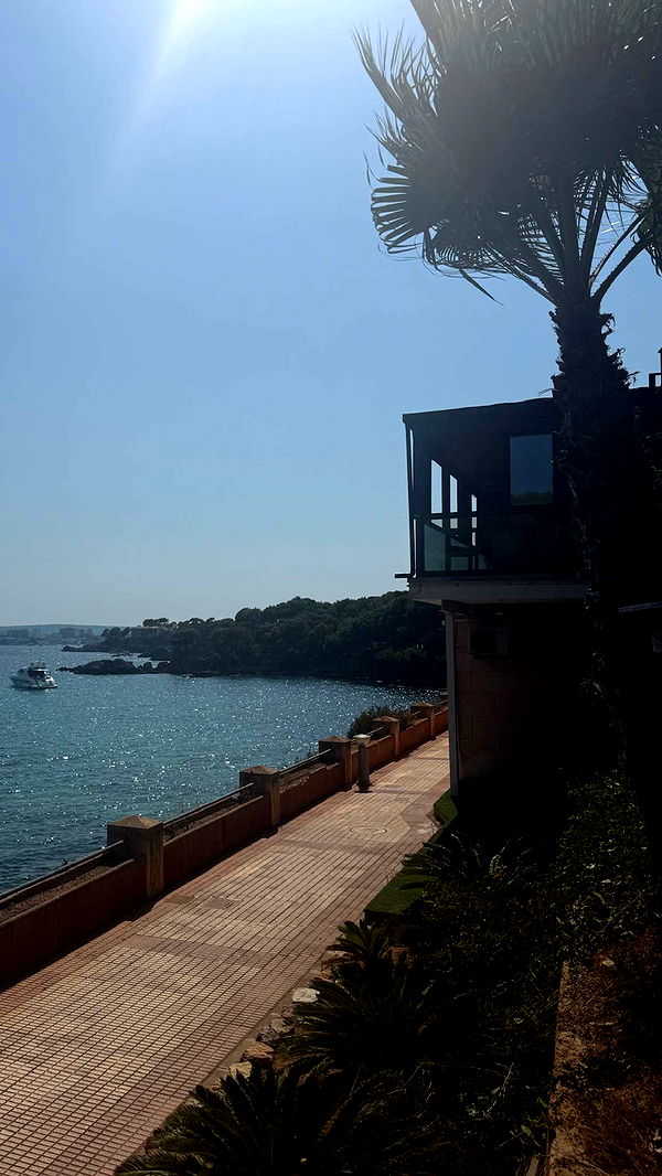 samantrasunny image ~ Altpins