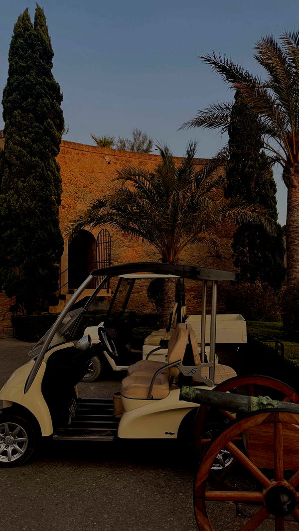 samantrasunny image ~ Altpins