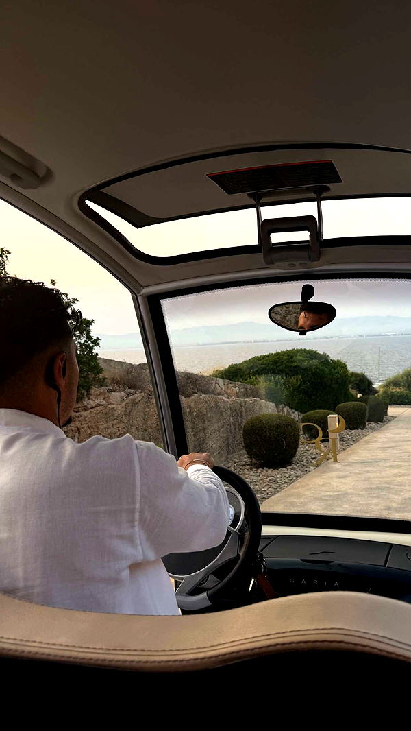 samantrasunny image ~ Altpins