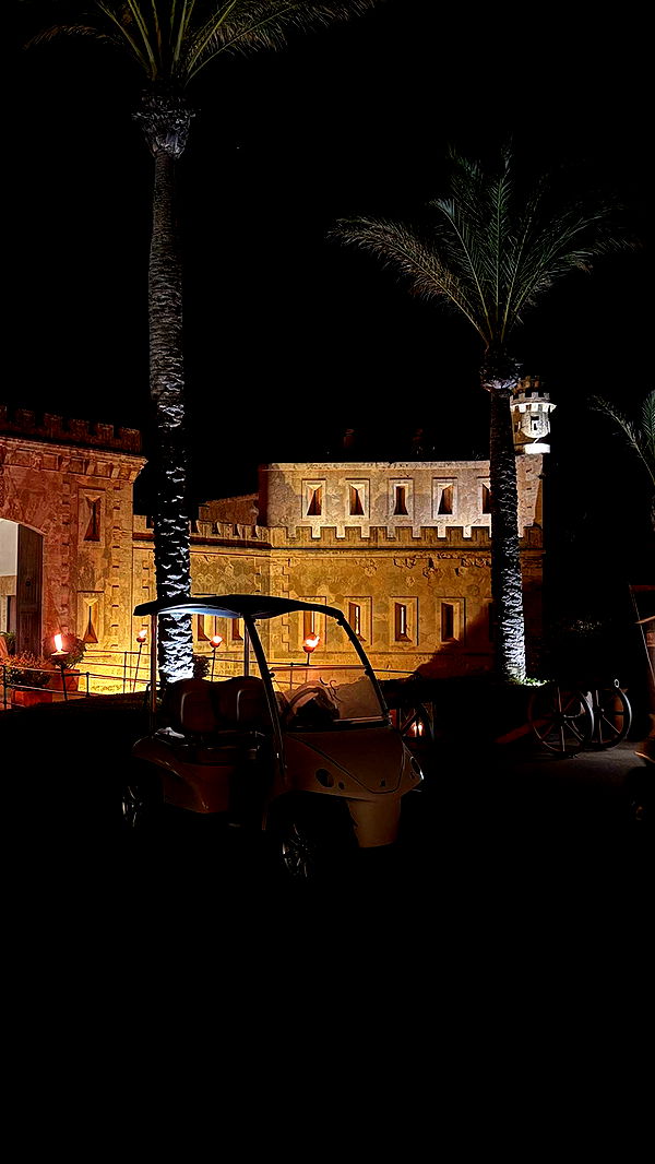 samantrasunny image ~ Altpins