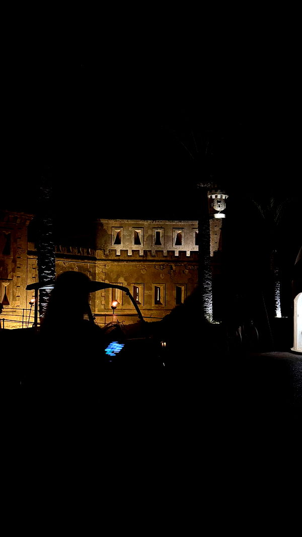 samantrasunny image ~ Altpins