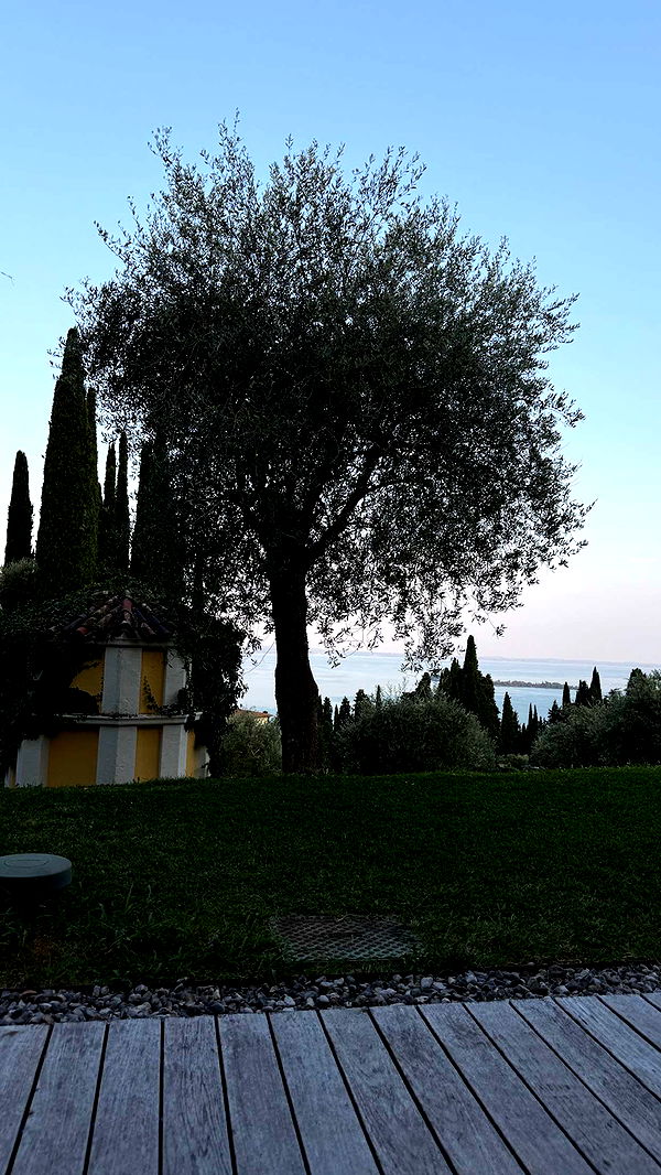 samantrasunny image ~ Altpins