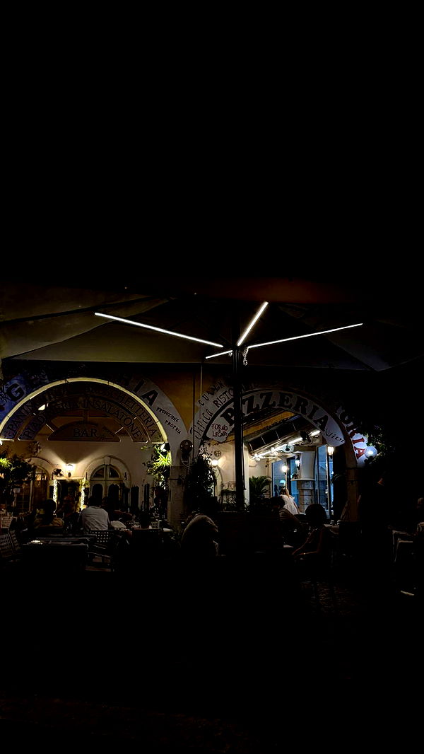 samantrasunny image ~ Altpins