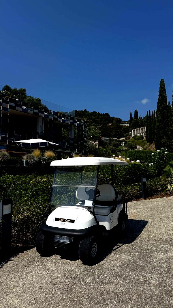 samantrasunny image ~ Altpins