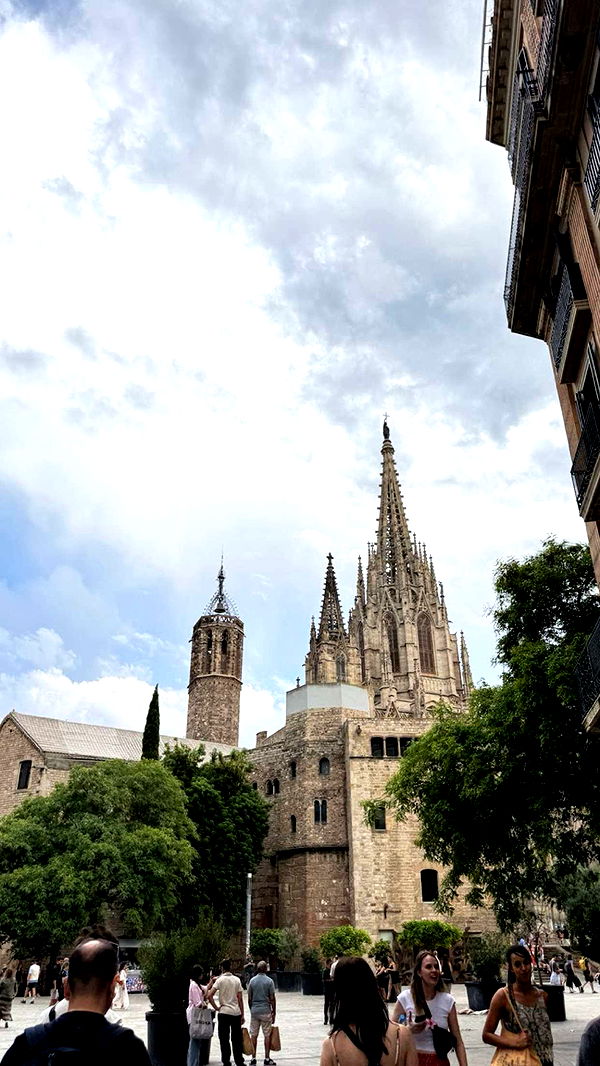 samantrasunny image ~ Altpins