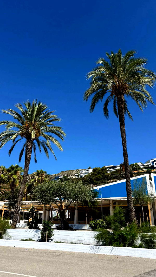 samantrasunny image ~ Altpins