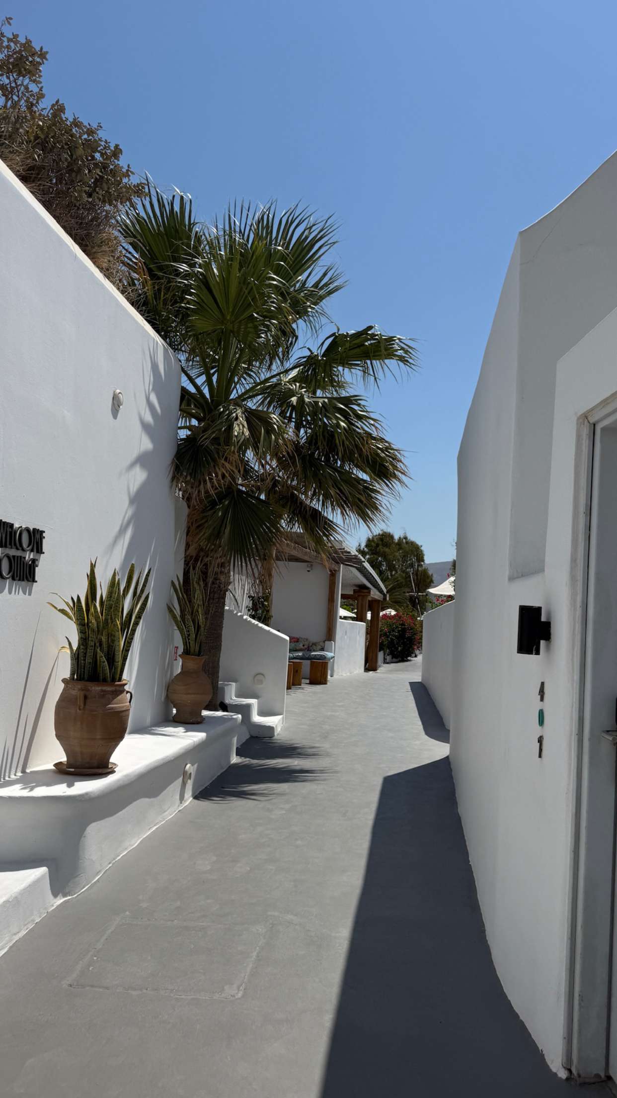 samantrasunny snapchat image archive image