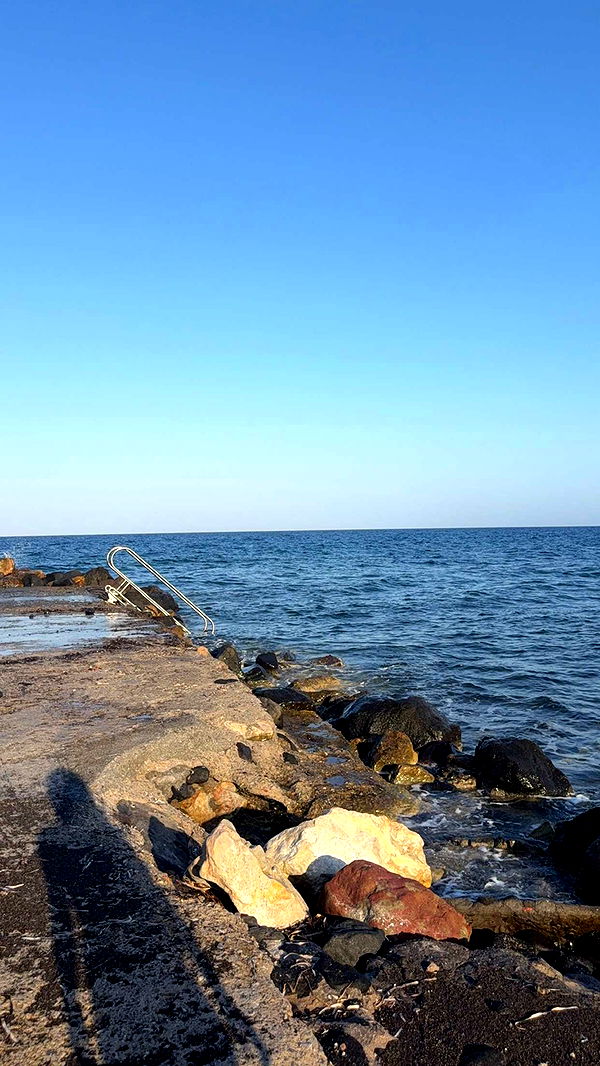 samantrasunny image ~ Altpins