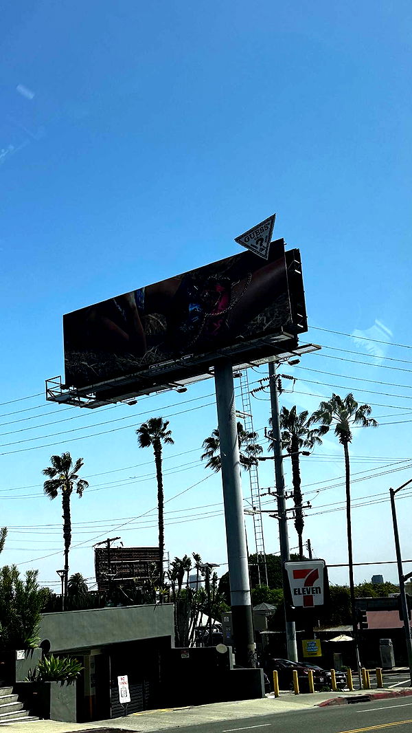 samantrasunny image ~ Altpins