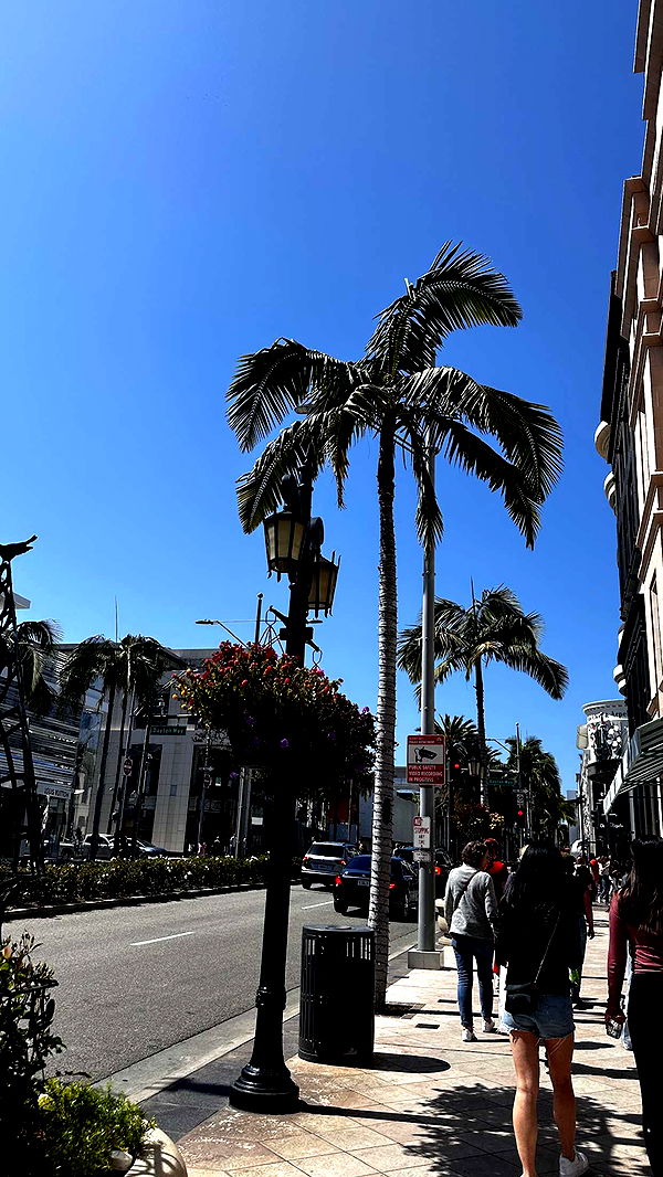 samantrasunny image ~ Altpins