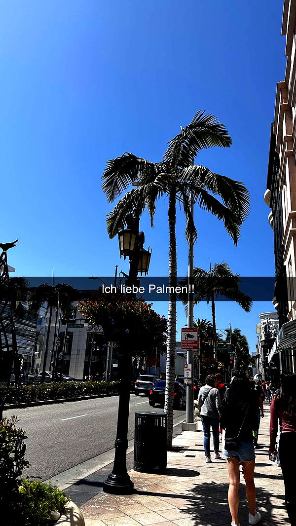 samantrasunny image ~ Altpins