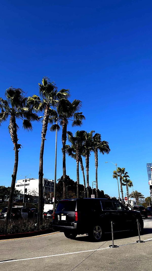 samantrasunny image ~ Altpins