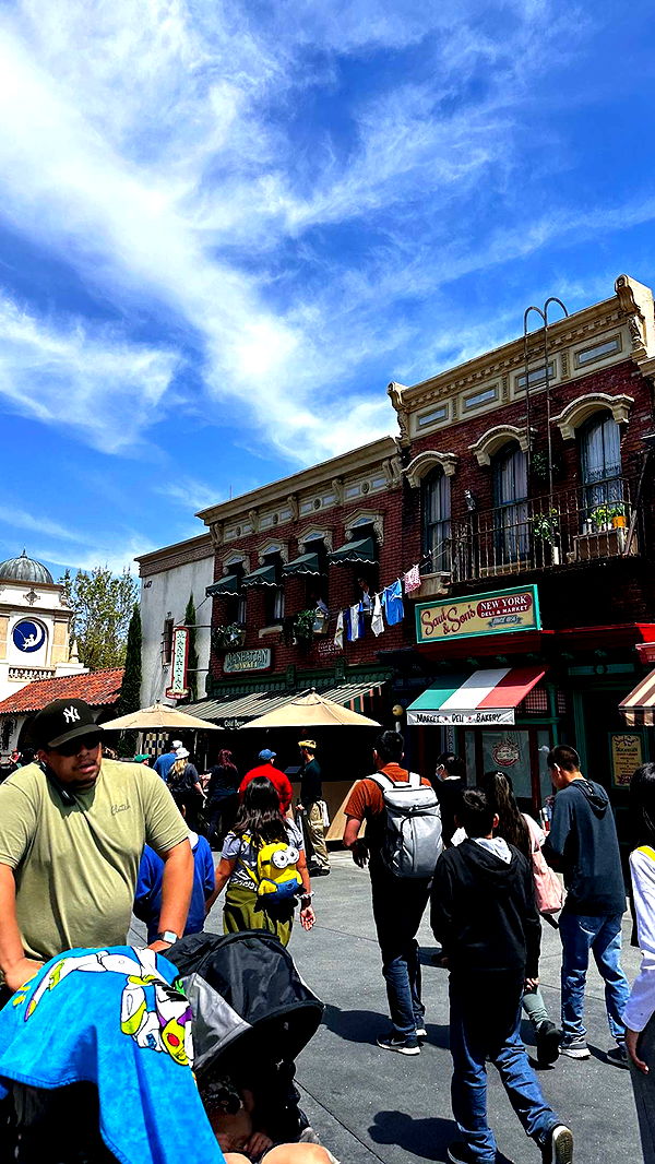 samantrasunny image ~ Altpins