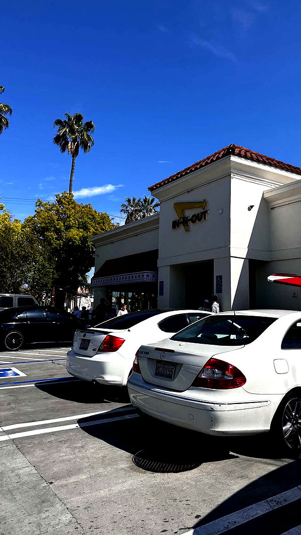 samantrasunny image ~ Altpins