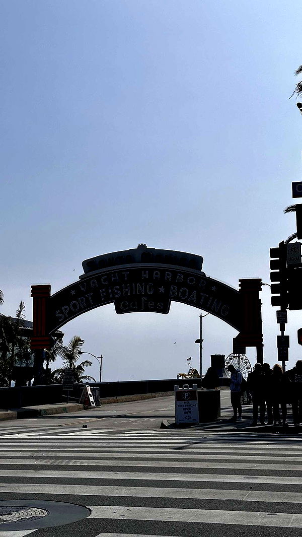 samantrasunny image ~ Altpins