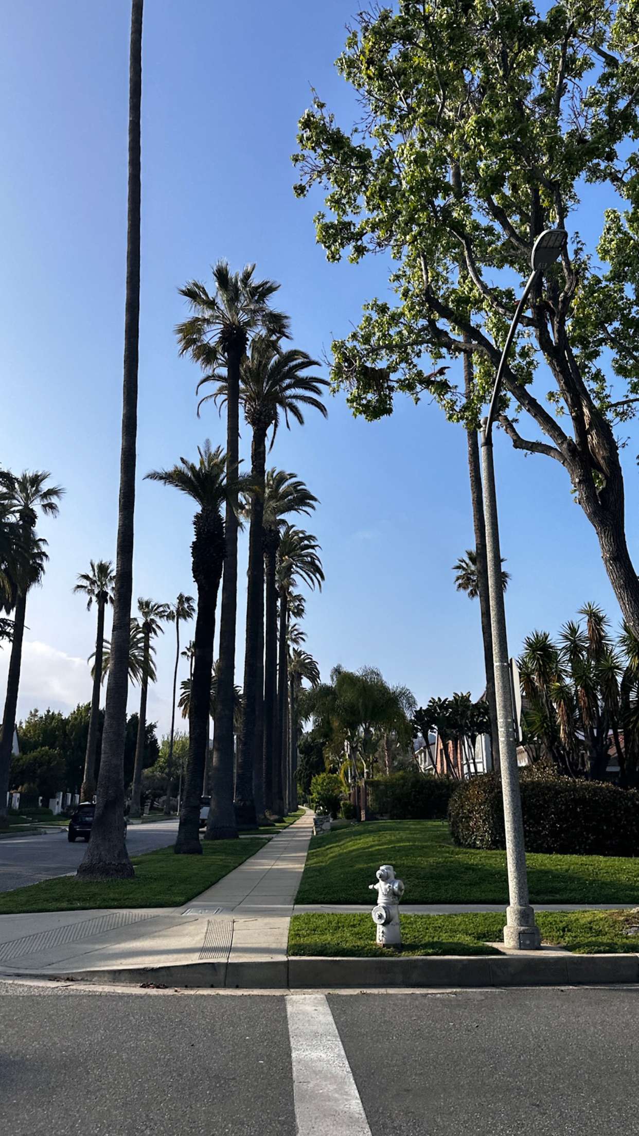 samantrasunny snapchat image archive image