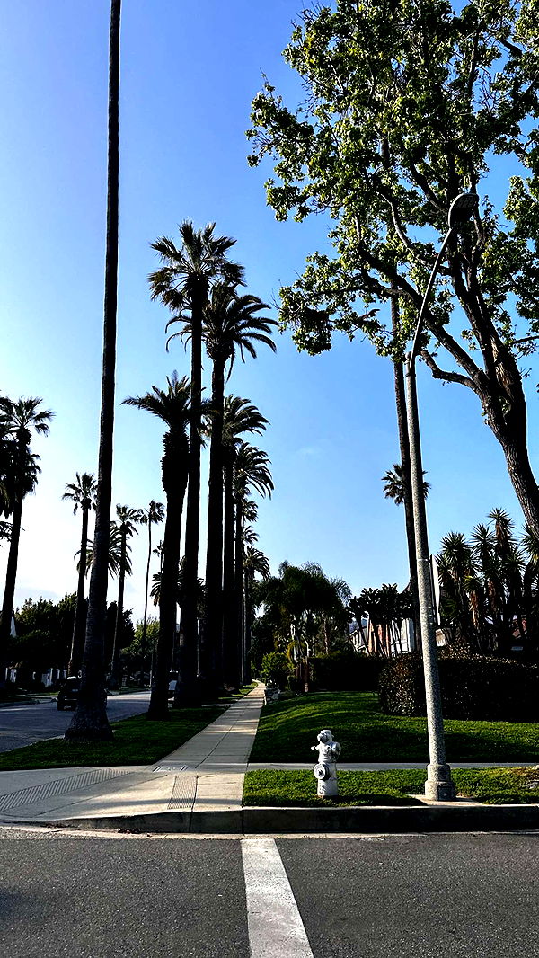 samantrasunny image ~ Altpins