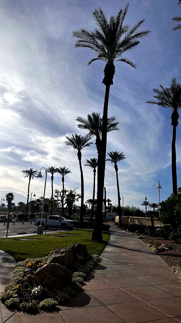 samantrasunny image ~ Altpins