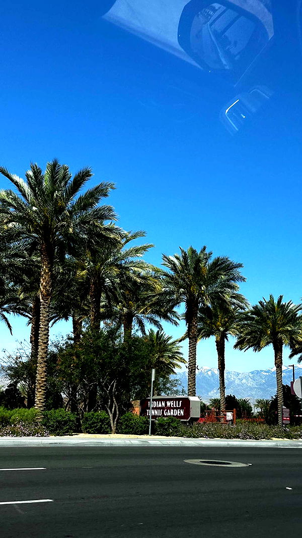 samantrasunny image ~ Altpins