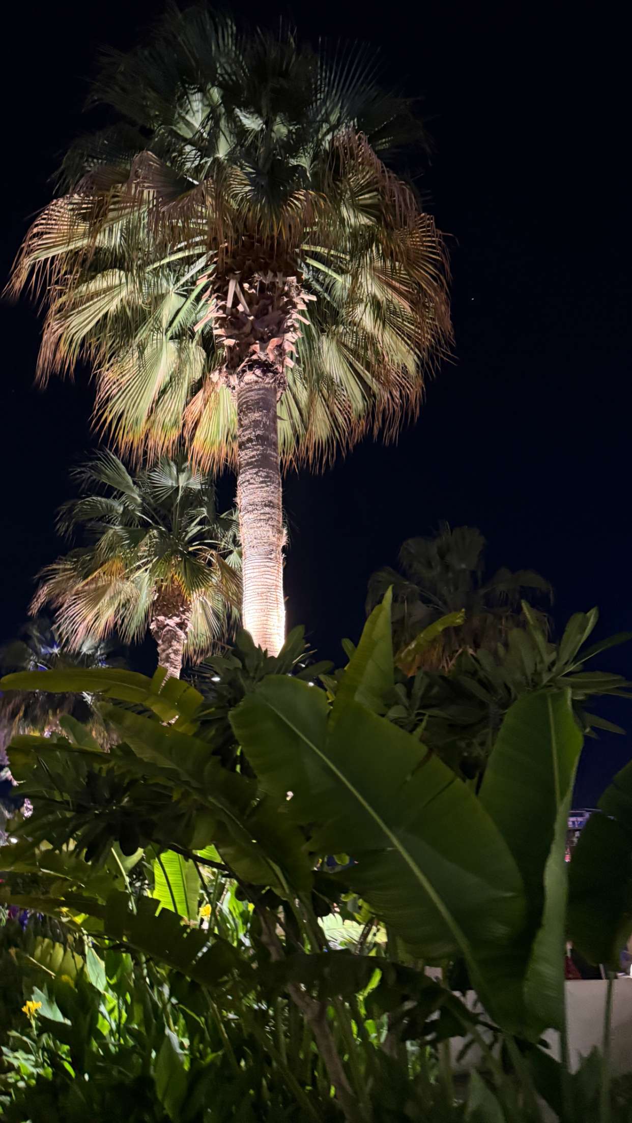 samantrasunny snapchat image archive image