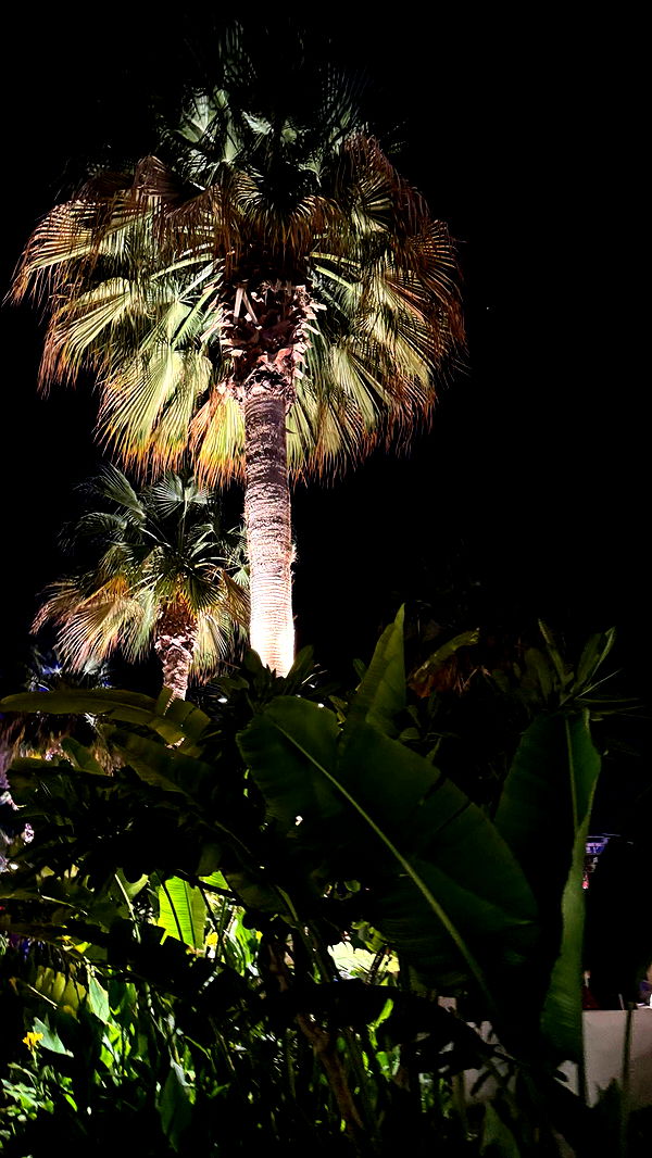 samantrasunny image ~ Altpins