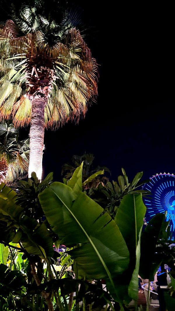 samantrasunny image ~ Altpins