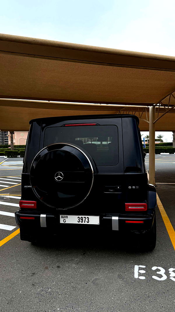 samantrasunny image ~ Altpins