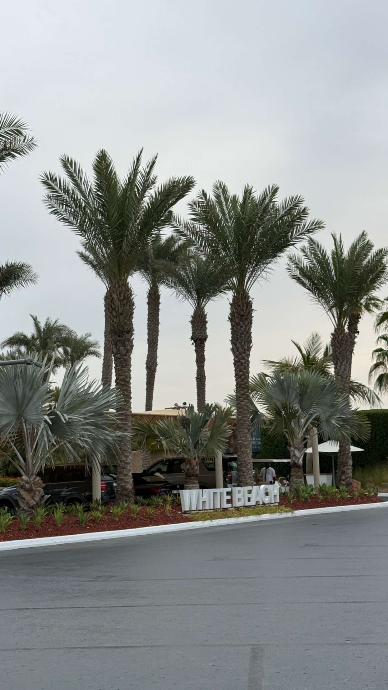 samantrasunny snapchat image archive image