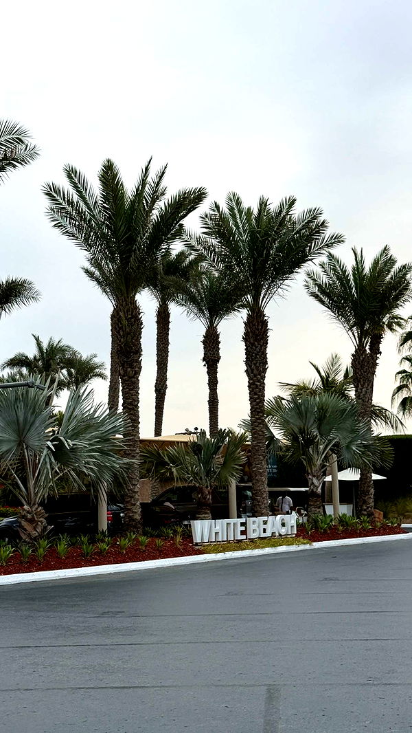 samantrasunny image ~ Altpins