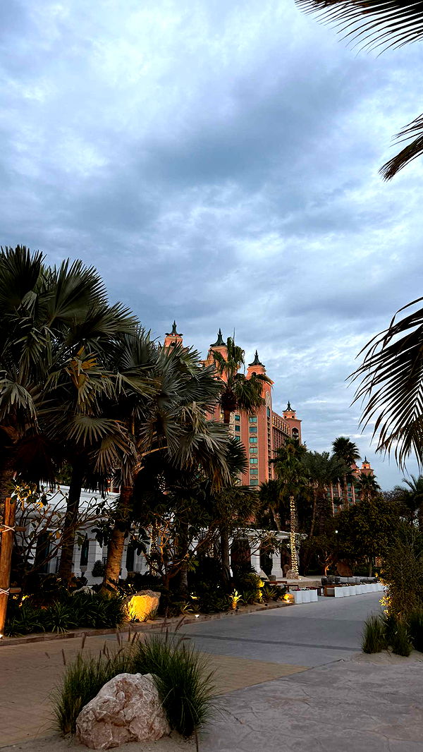 samantrasunny image ~ Altpins