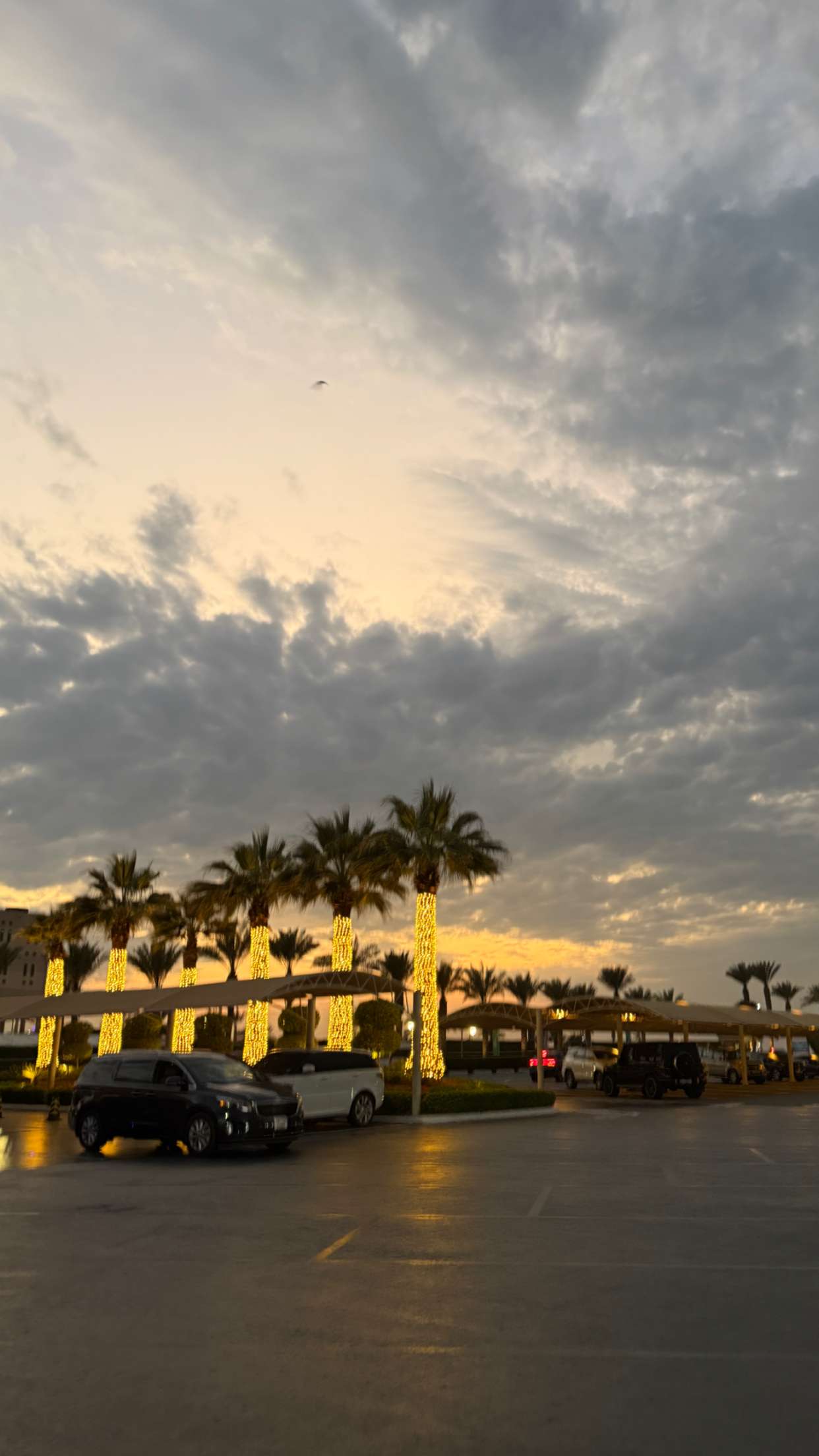 samantrasunny snapchat image archive image