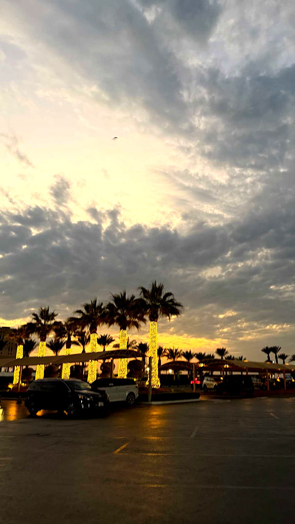 samantrasunny image ~ Altpins